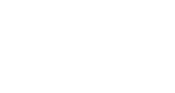 schmitz_logo_weiss schmitz_logo_weiss